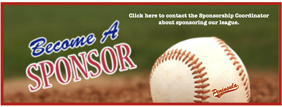 Sponsor our League!