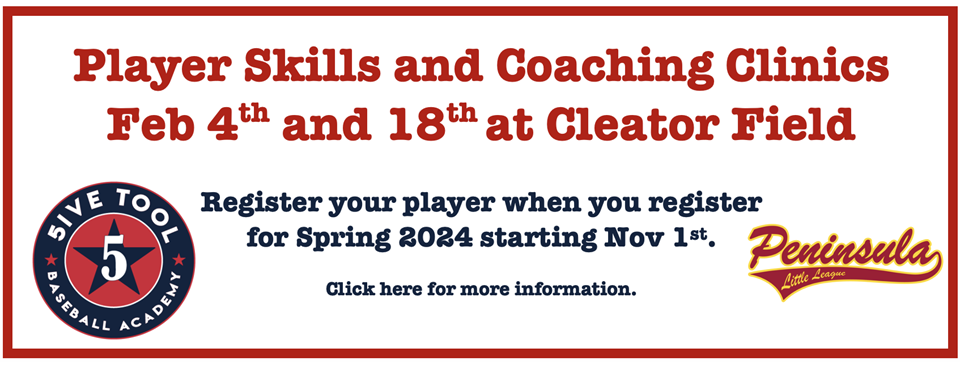 Player Skills & Coaching Clinics