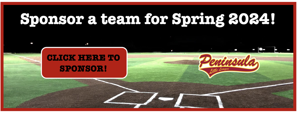 Sponsor our League!