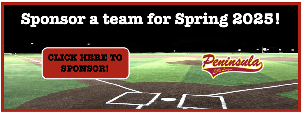 Sponsor our League!